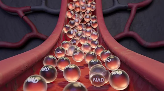 how often to get NAD injections frequency guide showing injection schedule by health goal